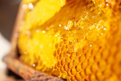 Photo of Honey dripping from hive frame, closeup view