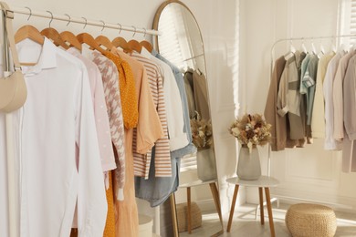 Modern dressing room interior with stylish clothes and beautiful dry flowers