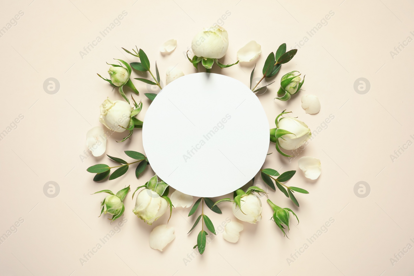 Photo of Flat lay composition with beautiful blooming flowers on color background