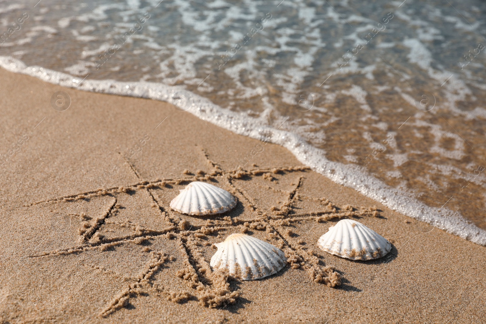 Photo of Playing Tic tac toe game with shells on sand near sea