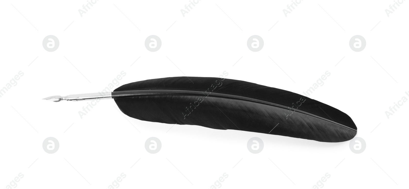 Photo of Feather pen on white background, top view