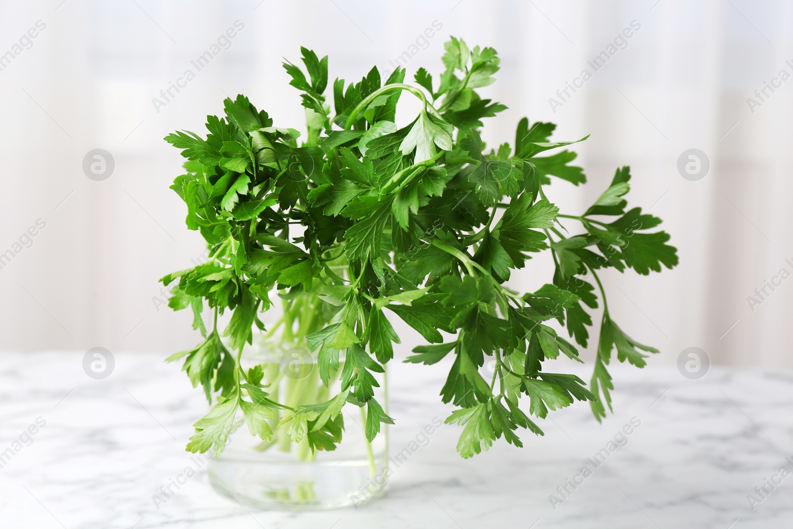 Photo of Jar with fresh green parsley on table