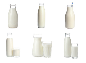 Set with different glassware of fresh milk on white background