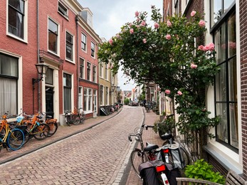 Photo of Beautiful view of city street with bicycles and pink rose bush