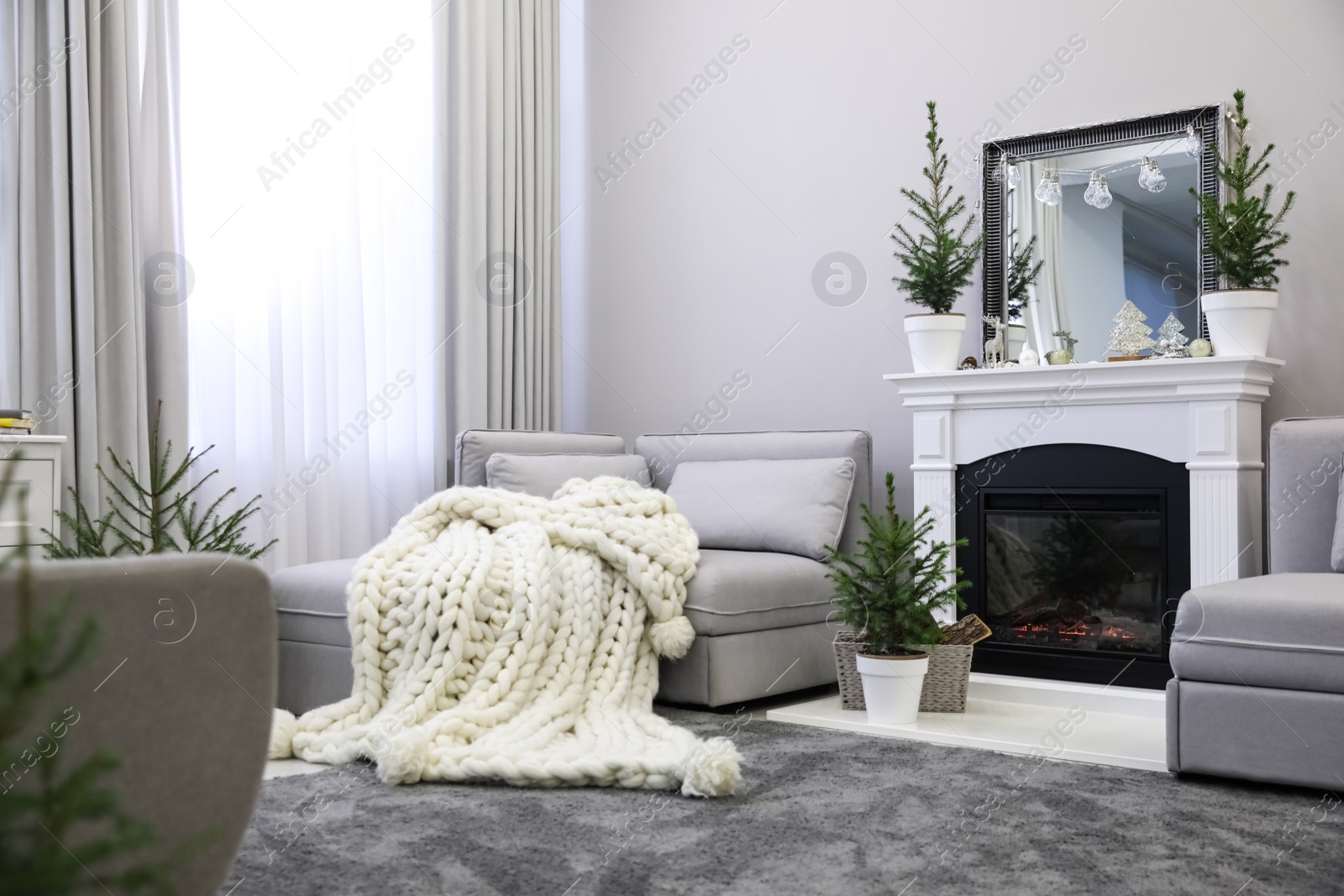 Photo of Stylish living room interior with little fir trees and Christmas decorations