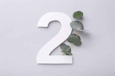 Photo of Paper number 2 and eucalyptus branch on light grey background, top view