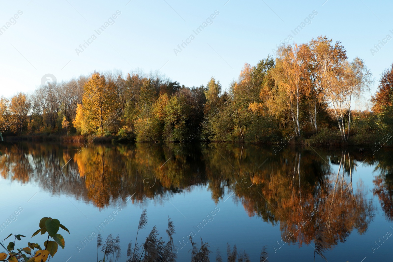 Photo of Picturesque view of lake and trees on autumn day