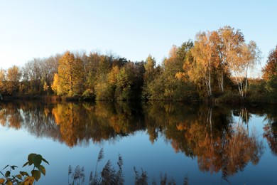 Picturesque view of lake and trees on autumn day