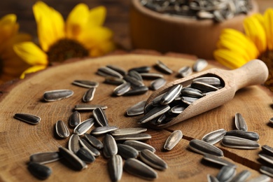 Photo of Raw sunflower seeds on wooden stand, closeup