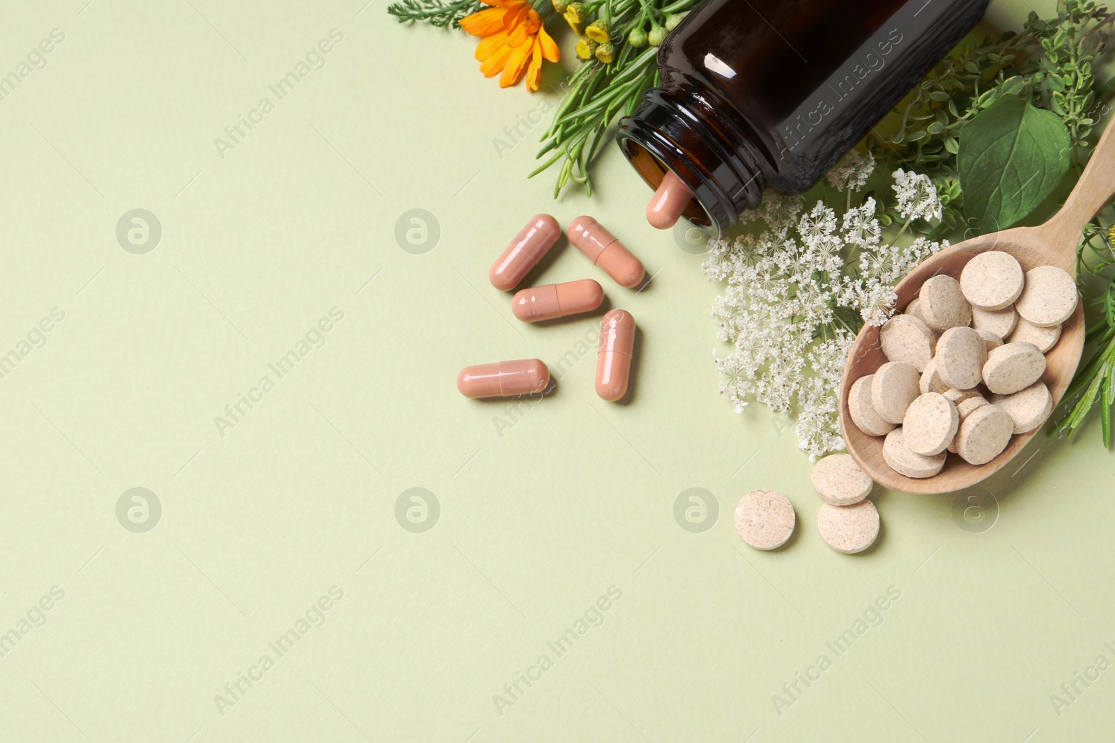 Photo of Different pills, herbs and flowers on light green background, flat lay with space for text. Dietary supplements