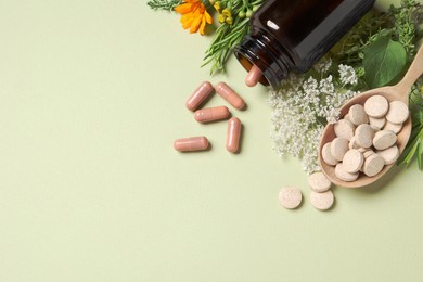 Different pills, herbs and flowers on light green background, flat lay with space for text. Dietary supplements