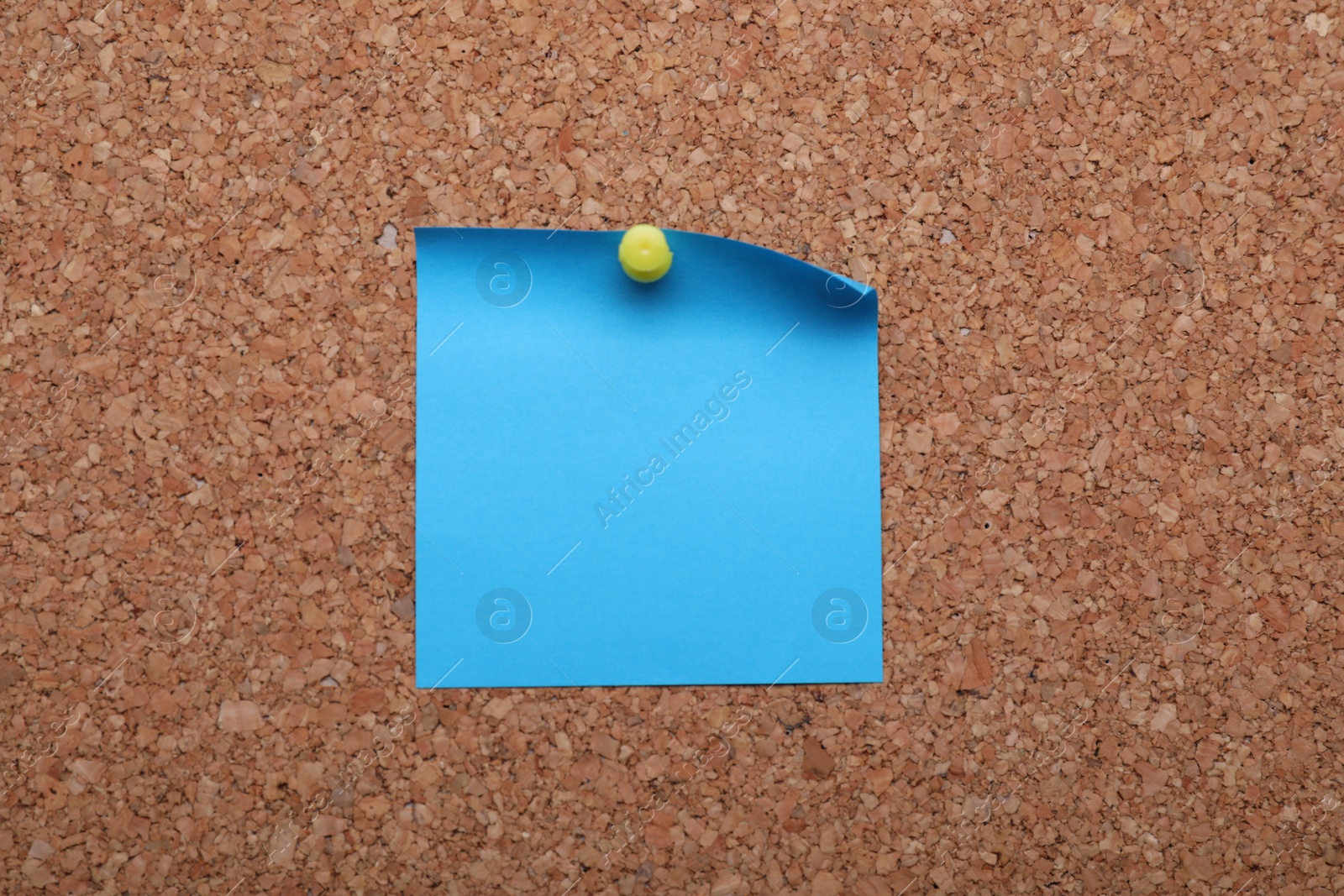 Photo of Blank paper note pinned to cork background, closeup