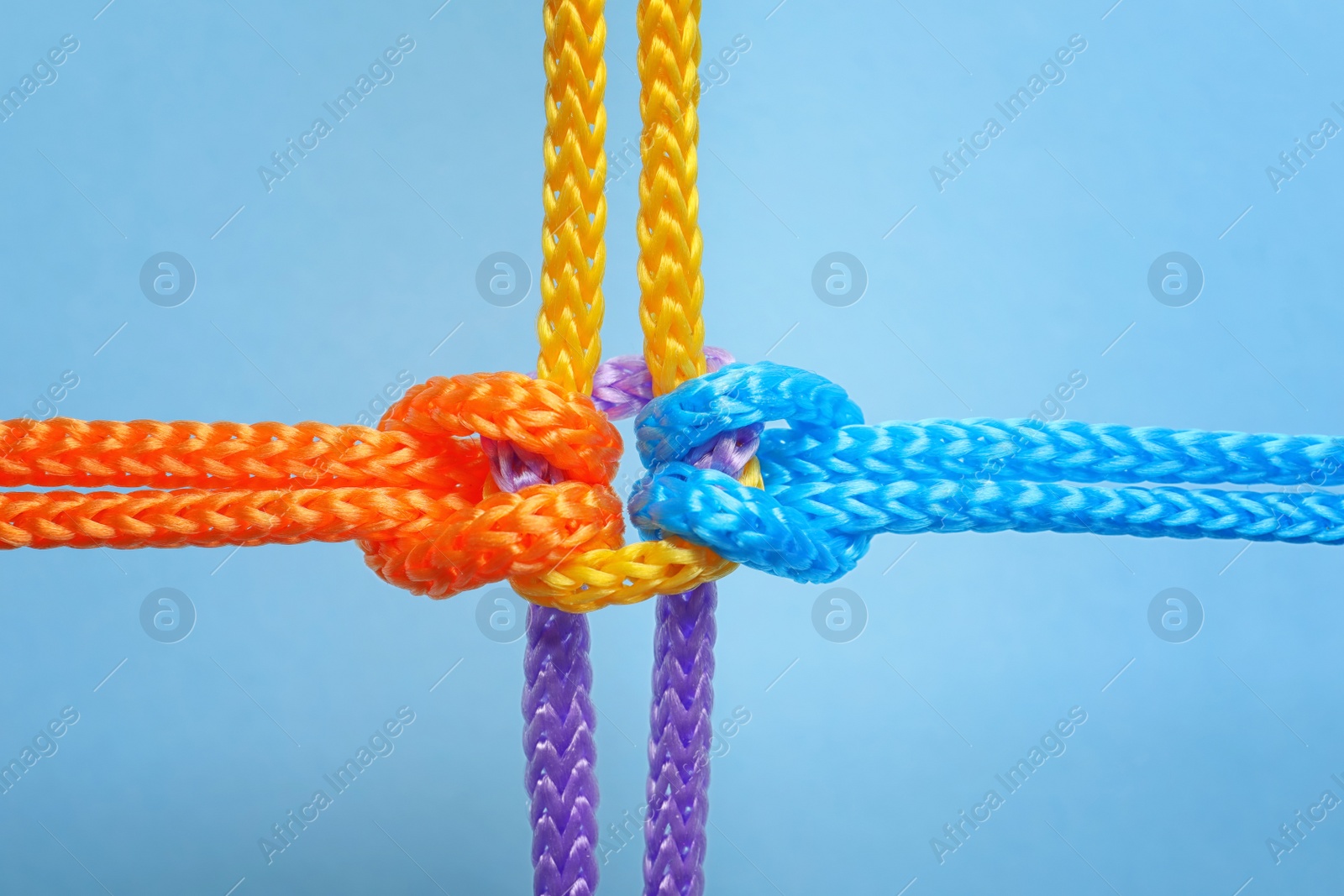 Photo of Different ropes tied together with knot on color background. Unity concept