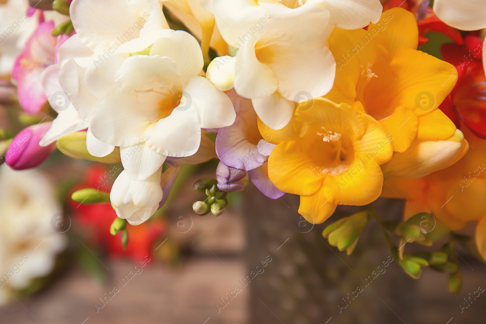 Photo of Beautiful bouquet of freesia flowers, closeup