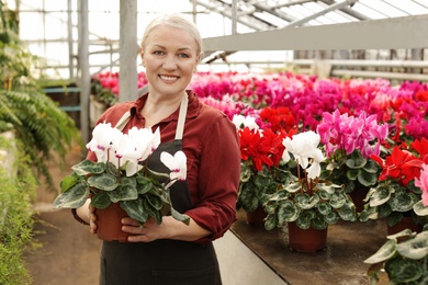 Photo of Mature woman holding pot with blooming flower in greenhouse. Home gardening