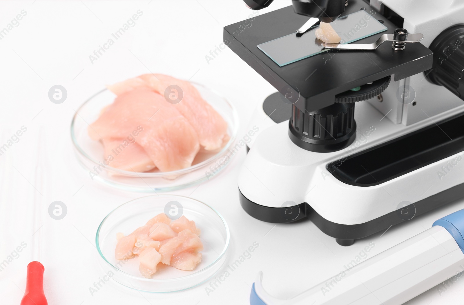 Photo of Food quality control. Microscope, petri dishes with meat and other laboratory equipment on white table, closeup