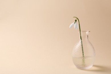 Photo of Beautiful snowdrop in vase on beige background, space for text