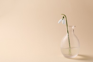 Beautiful snowdrop in vase on beige background, space for text