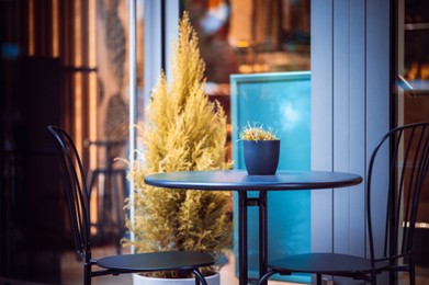 Photo of Chairs and round table near plant outdoors