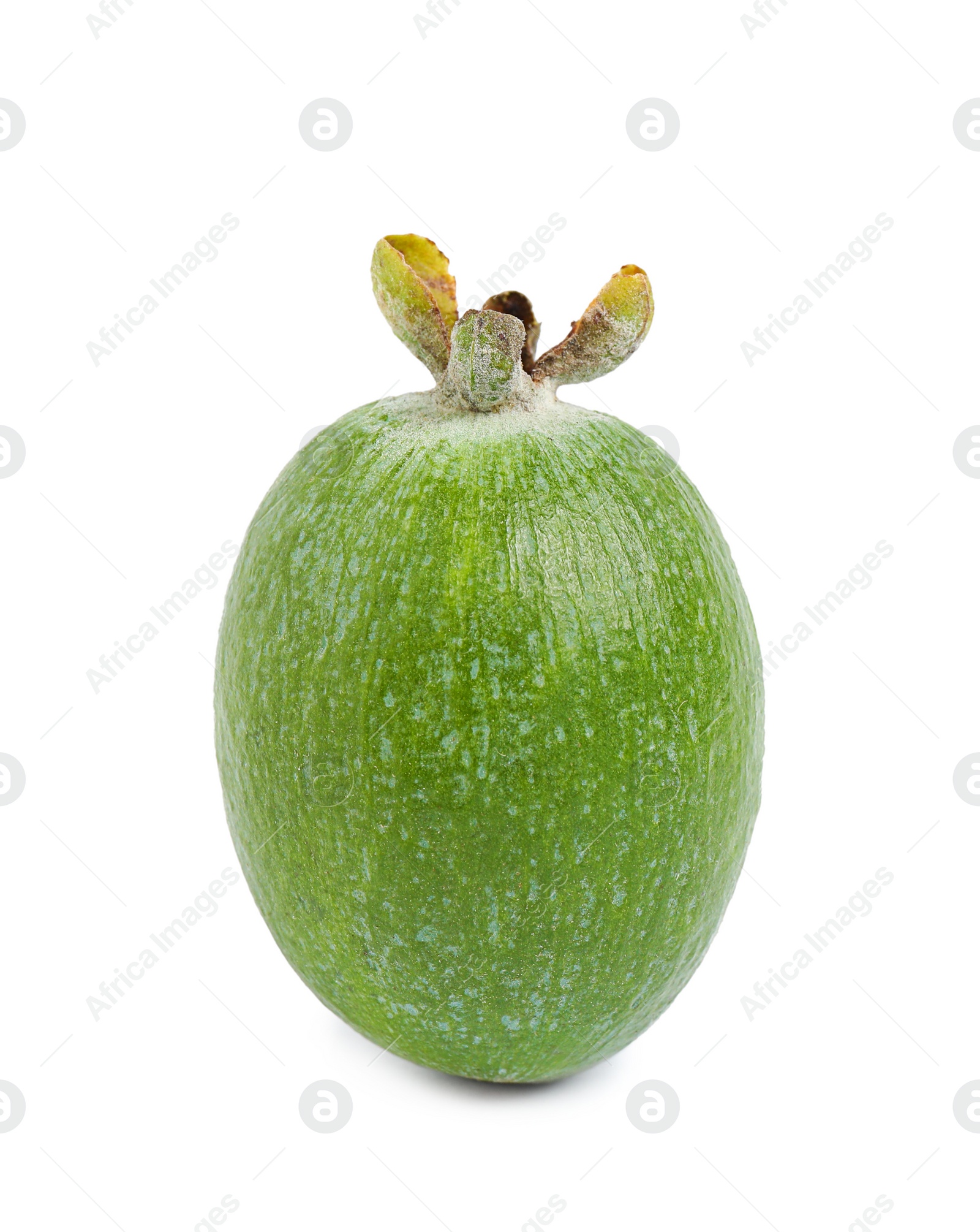 Photo of Fresh ripe feijoa fruit isolated on white