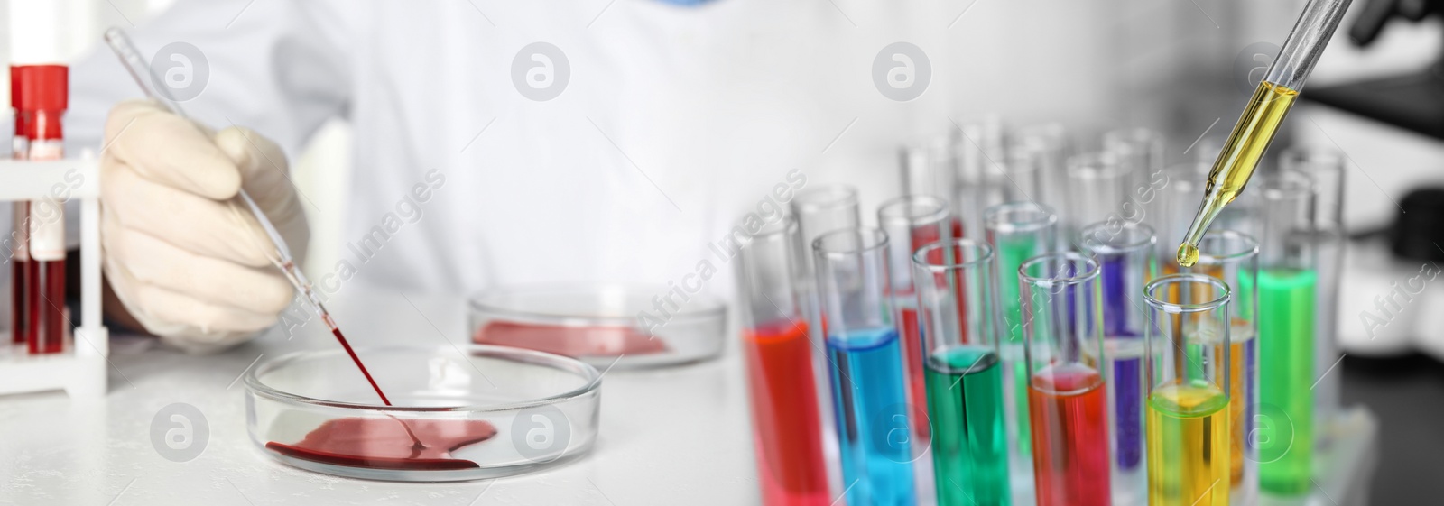 Image of Scientist doing research and analysis in chemical laboratory, closeup. Banner design   