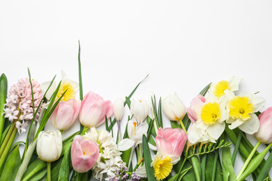 Photo of Beautiful spring flowers on white background, top view