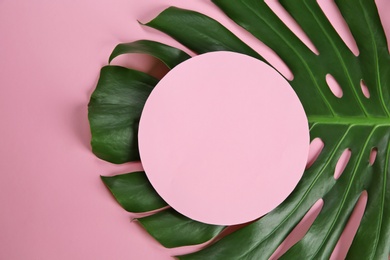Photo of Flat lay composition with tropical leaves on color background