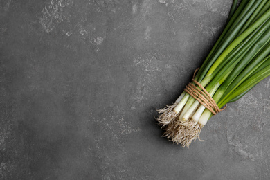 Fresh green spring onions on grey table, top view. Space for text