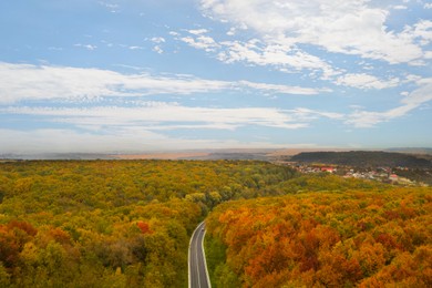 Aerial view of road going through beautiful autumn forest