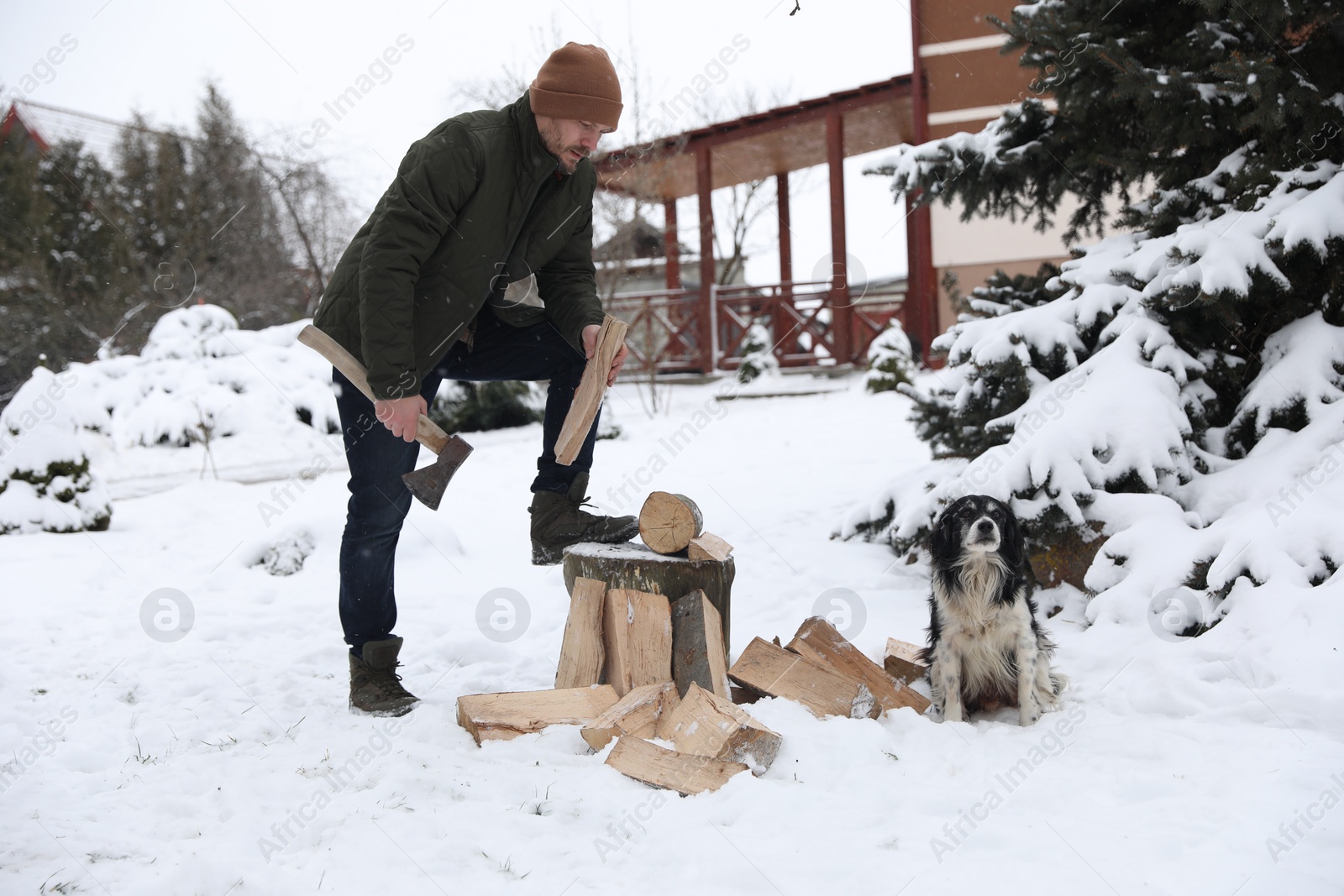 Photo of Man chopping wood with axe next to cute dog outdoors on winter day