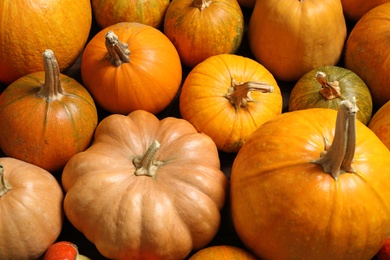 Photo of Many fresh raw whole pumpkins as background. Holiday decoration