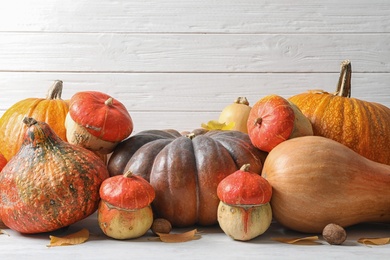 Photo of Different pumpkins on table against light wall. Autumn holidays