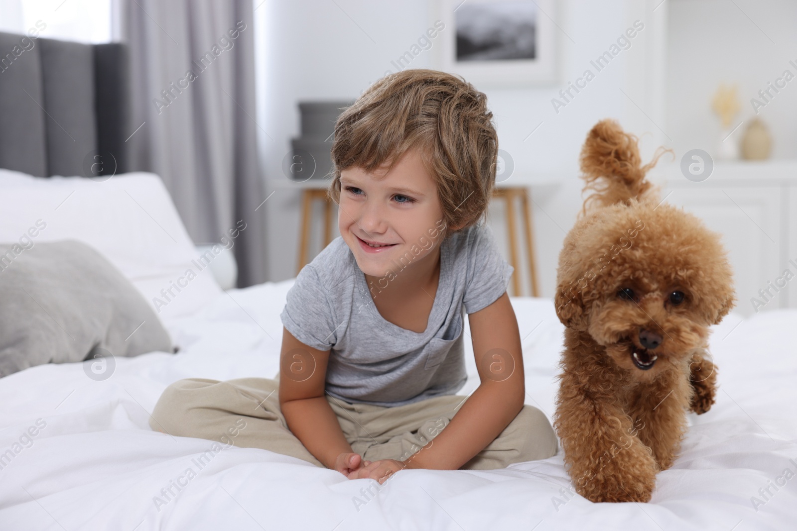 Photo of Little child and cute puppy on bed at home. Lovely pet