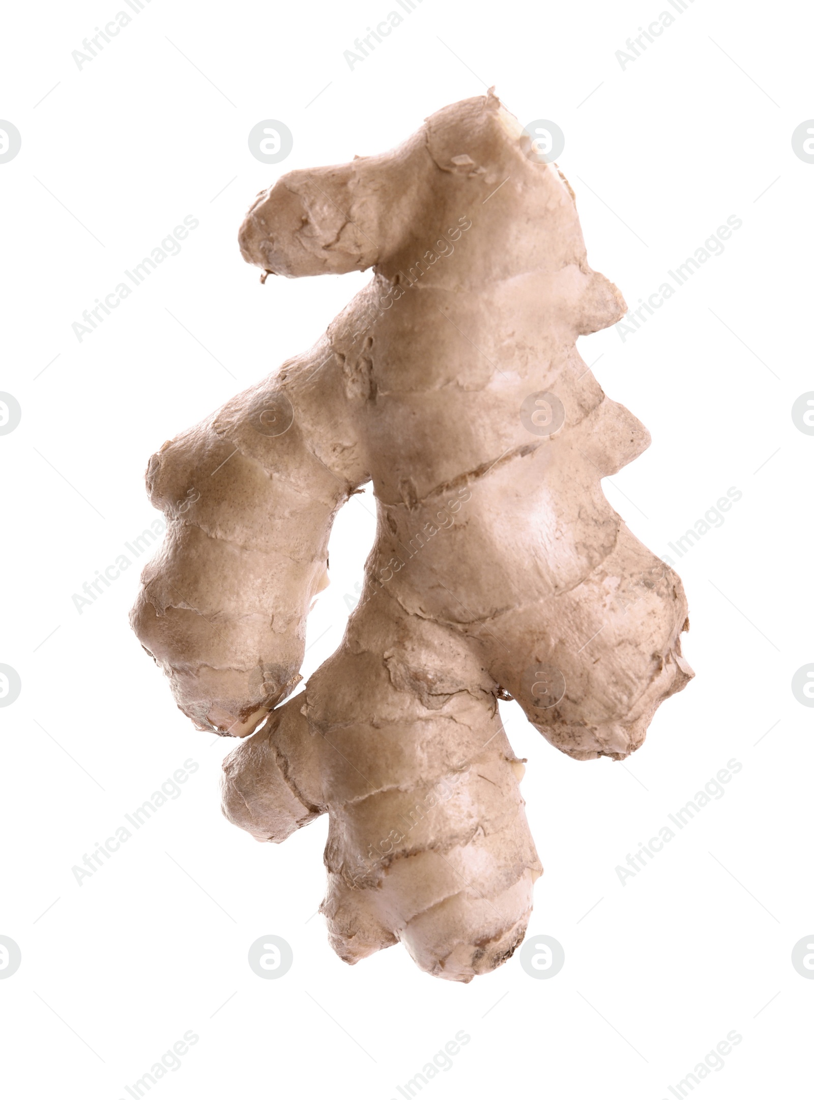 Photo of Whole fresh ginger root isolated on white