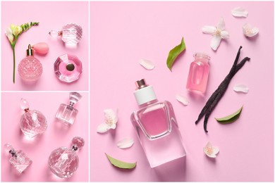 Image of Beautiful collage with photos of luxury perfume and ingredients represent their fragrance notes on pink background, top view