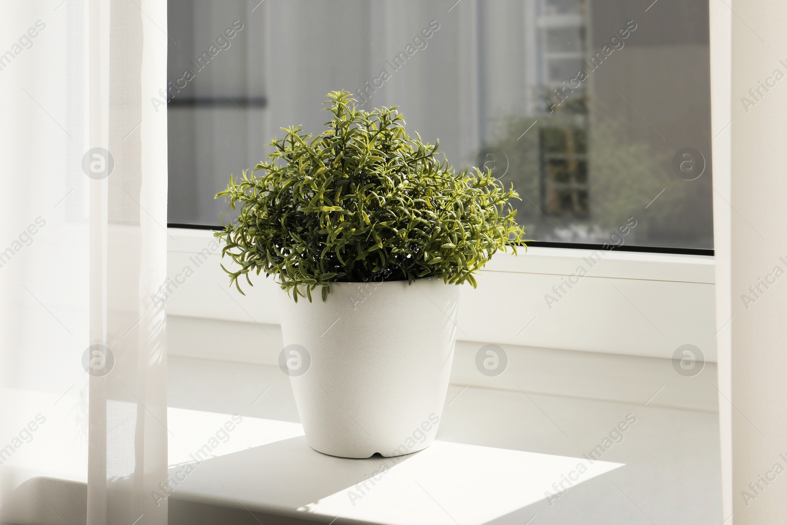 Photo of Artificial potted herb on sunny day on windowsill indoors. Home decor