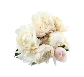 Bouquet of beautiful peonies on white background