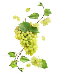 Fresh ripe grapes with green leaves falling on white background