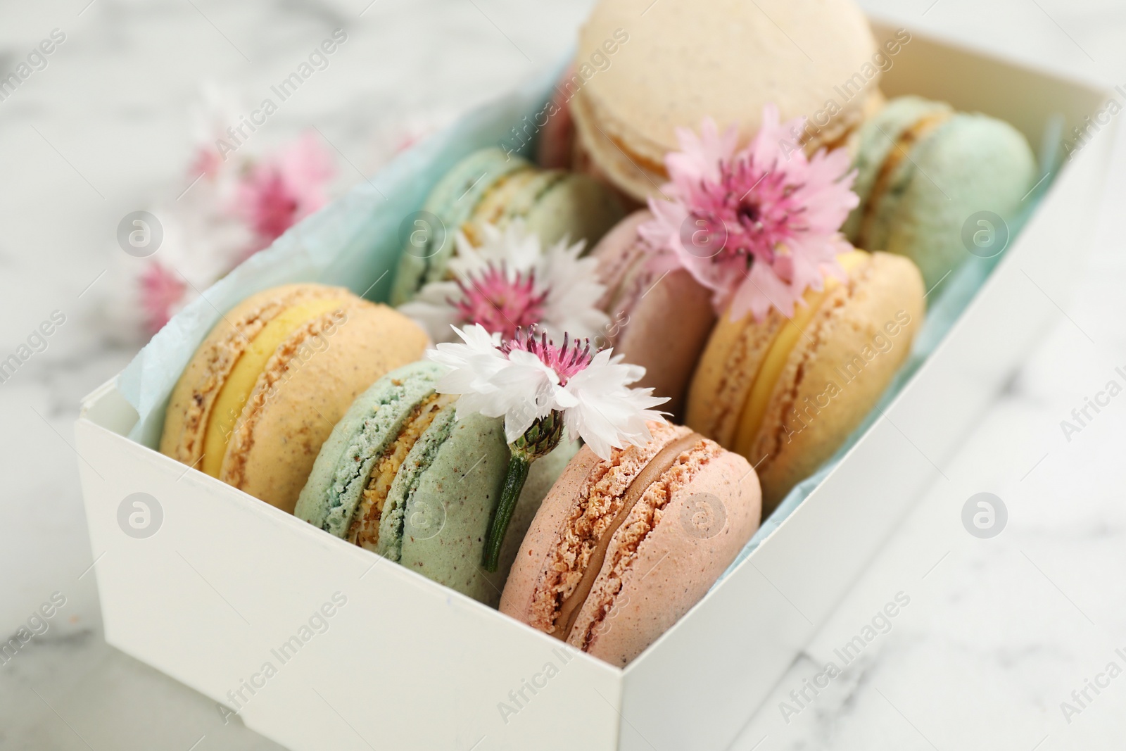 Photo of Delicious macarons and flowers in box on white marble table, closeup