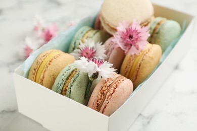 Delicious macarons and flowers in box on white marble table, closeup