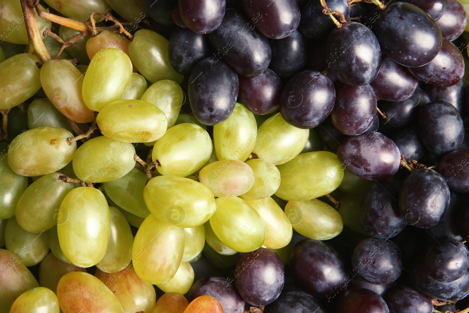 Photo of Fresh ripe juicy grapes as background, closeup