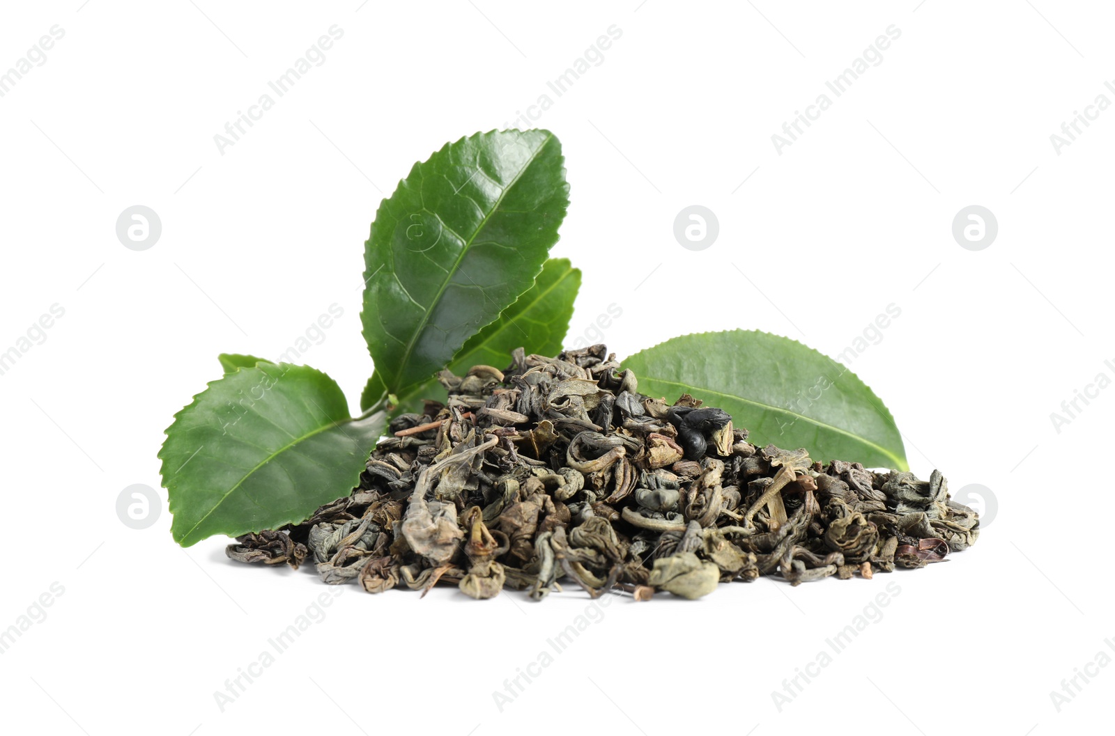 Photo of Dry and fresh tea leaves isolated on white