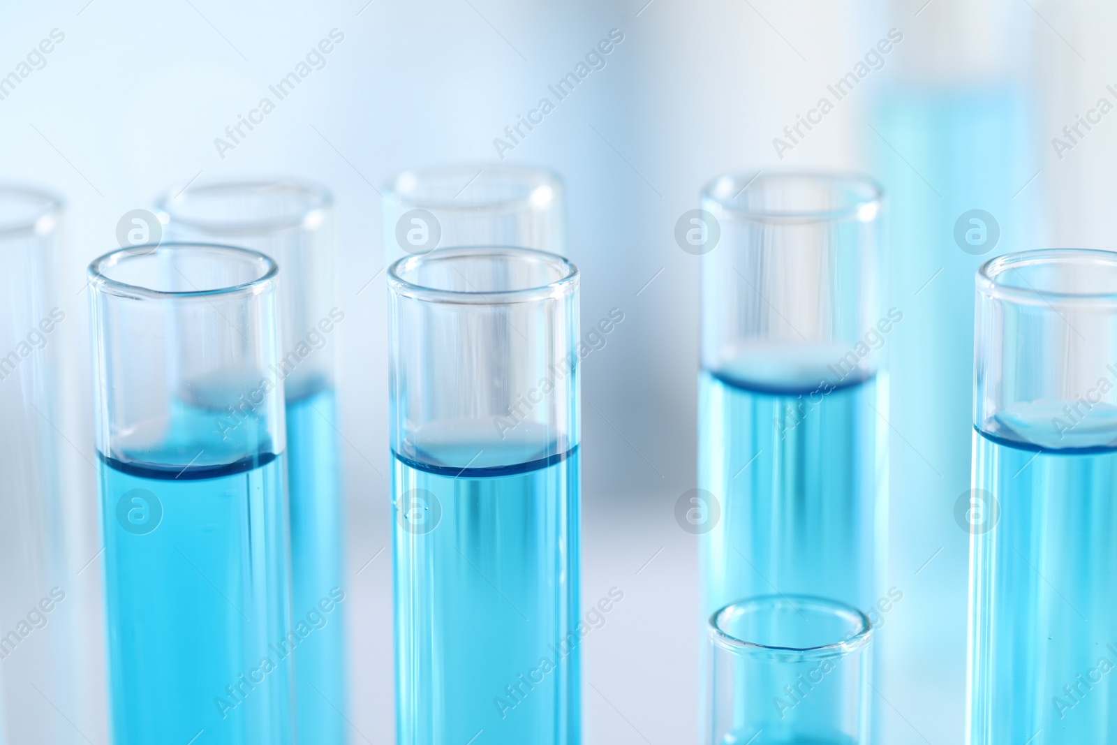 Photo of Test tubes with light blue liquid in laboratory, closeup