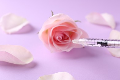 Cosmetology. Medical syringe, rose flower and petals on pink background, closeup