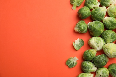 Photo of Fresh Brussels sprouts on coral background, flat lay. Space for text