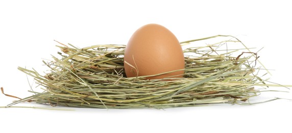 Photo of Chicken egg in nest isolated on white