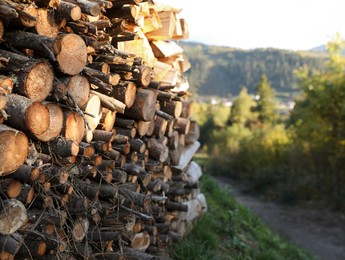 Photo of Pile of dry firewood on ground outdoors