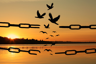 Image of Freedom concept. Silhouettes of broken chain and birds flying outdoors at sunset