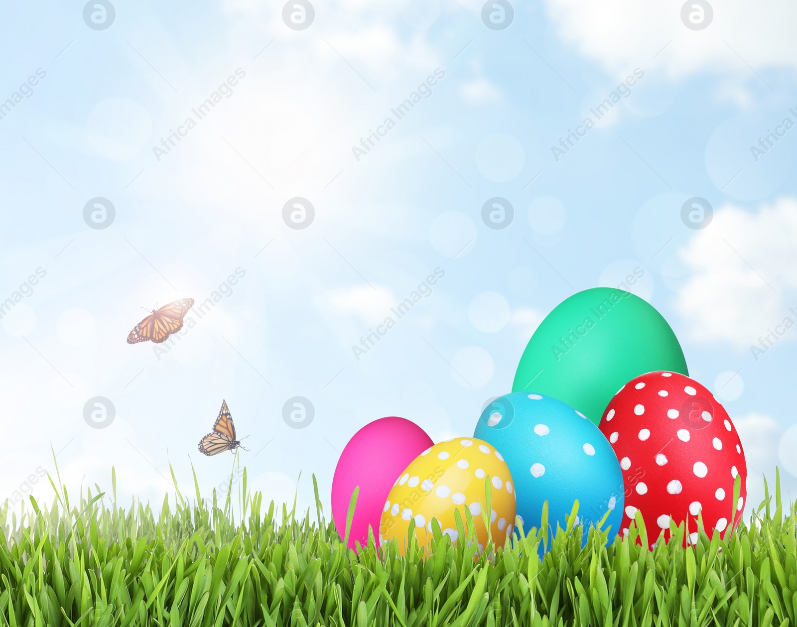 Image of Bright Easter eggs on green grass outdoors, space for text 