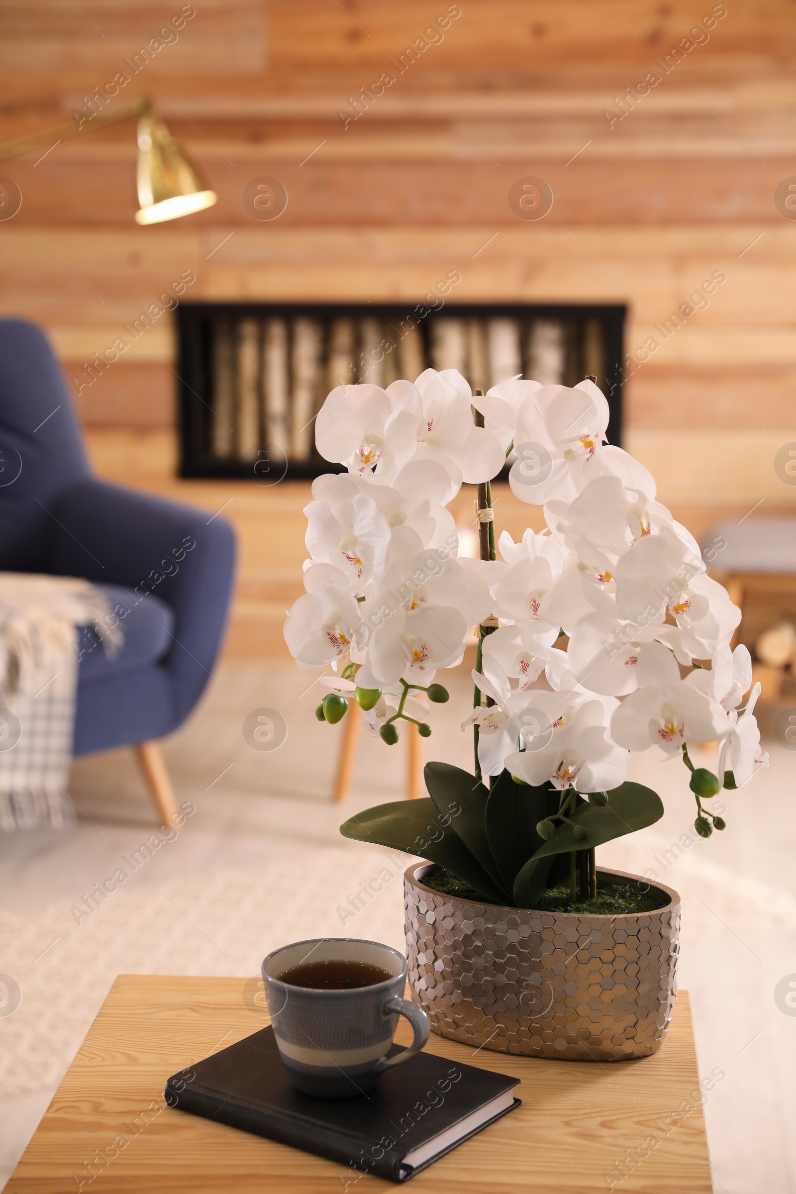 Photo of Beautiful white orchids and cup of tea on wooden table in living room. Interior design